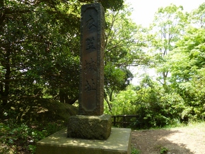 衣笠城