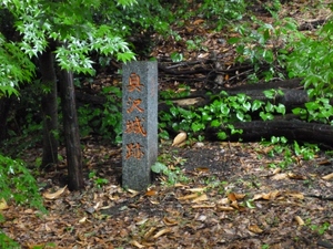 奥沢城