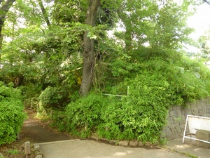 蕨城