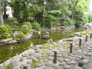 蕨城
