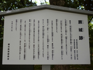 蕨城