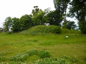 丸山城