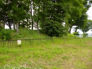 丸山城