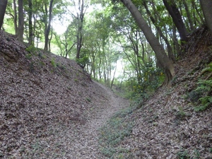 守谷城