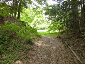 高井城