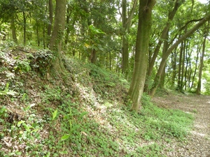 高井城