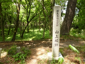 山上城