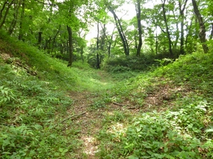 山上城