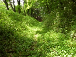 山上城