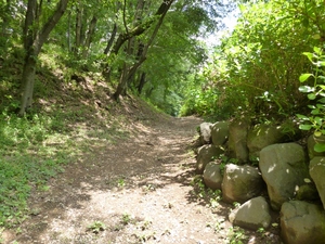 山上城