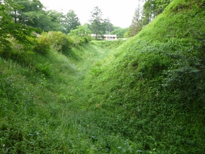 大胡城