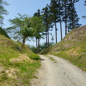 鶴峰城