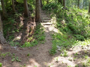 鶴峰城