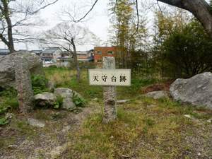 大溝城