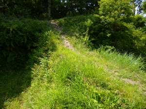 韮山城