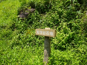 興国寺城