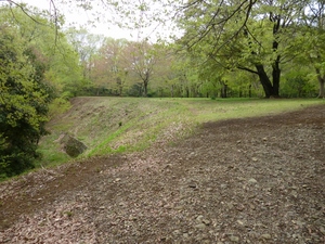 小田野城