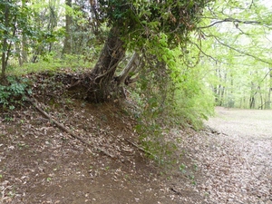 小田野城