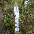 小田野城