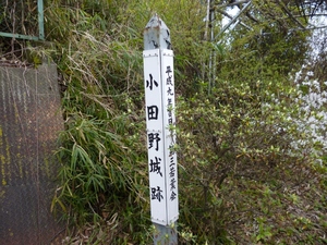 小田野城