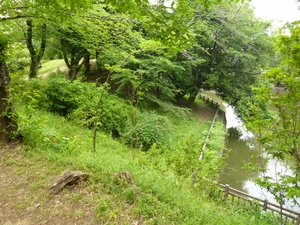 小泉城