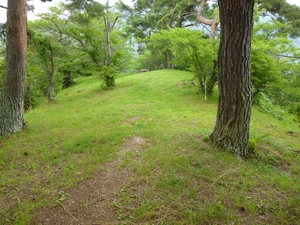 真田本城