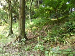 大聖寺城