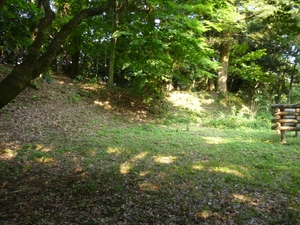 大聖寺城