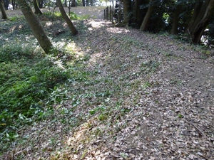 大聖寺城