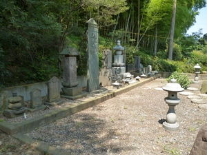 青鳥城
