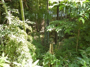 青鳥城