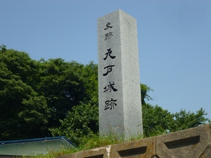 九戸城