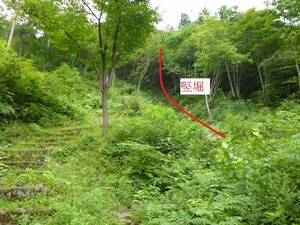 向羽黒山城