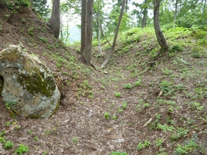 向羽黒山城