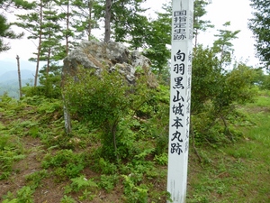 向羽黒山城
