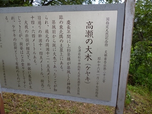 神指城