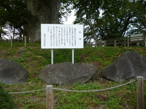 神指城