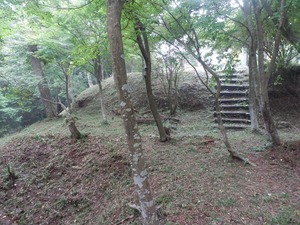 篠ノ丸城