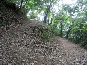 篠ノ丸城