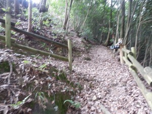 聖 山城