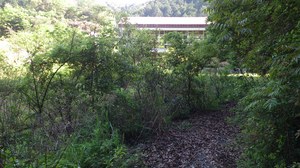 伊与木城跡