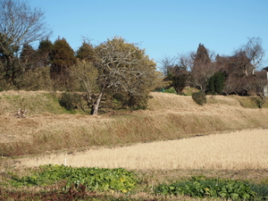向郷陣屋