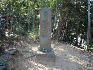 亥鼻城