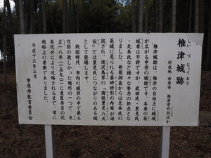 椎津城