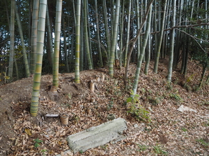 椎津城