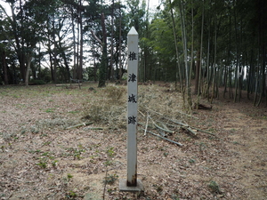 椎津城