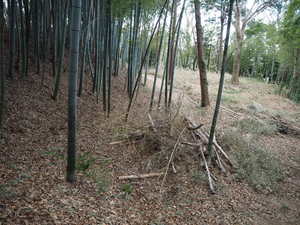 椎津城