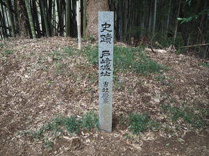 戸﨑城