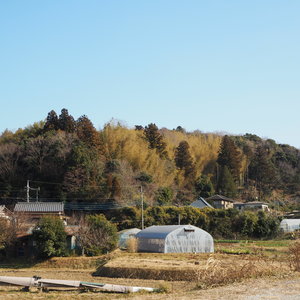 川原井里見城