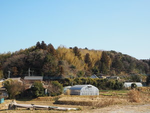 川原井里見城